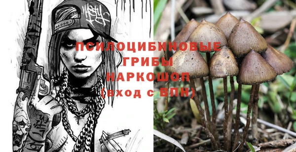 соль ск Абдулино