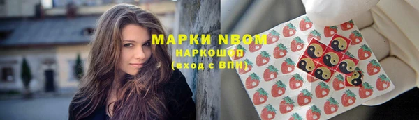 стаф Абинск