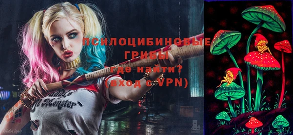 стаф Абинск