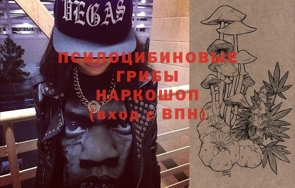 соль ск Абдулино