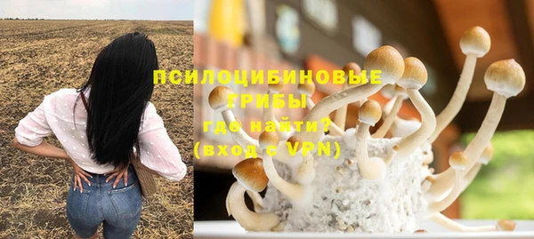 соль ск Абдулино