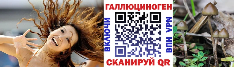 Псилоцибиновые грибы Magic Shrooms  Новая Усмань 